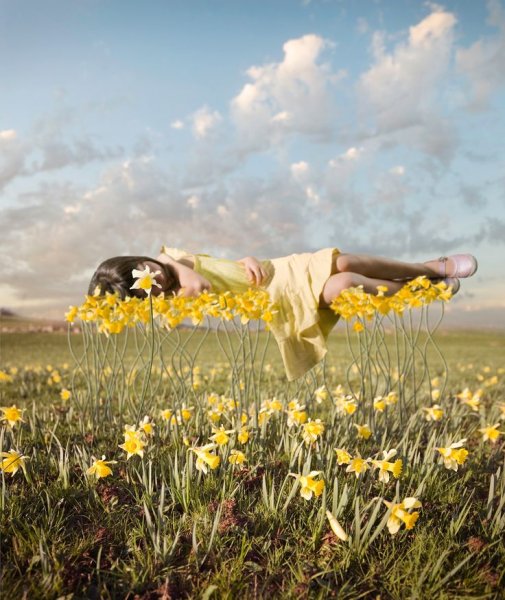 Алистер Маньяльдо