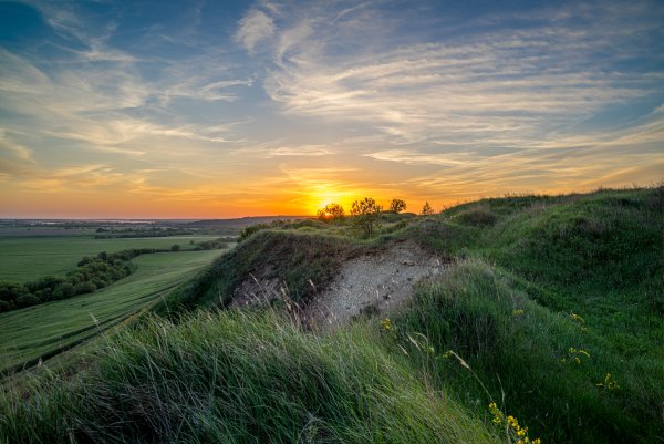 Сквер Кукушка Пенза