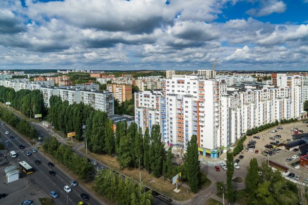 Заречный Пензенская область лес