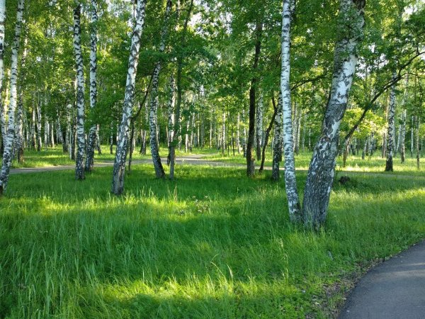 Московская улица Пенза центр