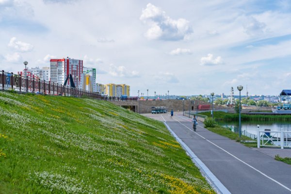 Остров Пески Пенза