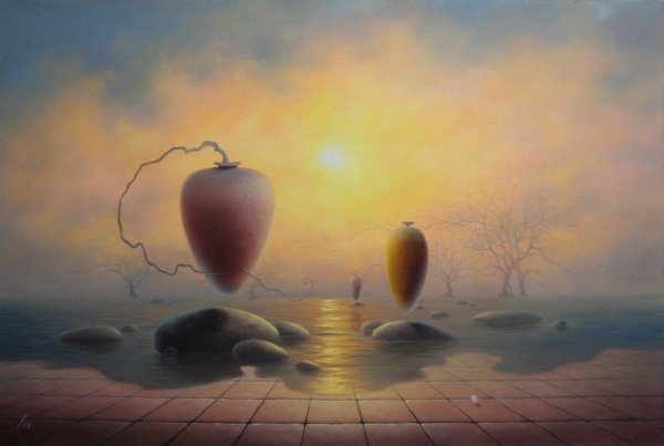 Владимир куш море