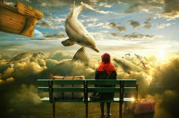 Jose Roosevelt картины