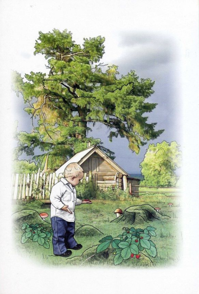 Дидактический материал лето