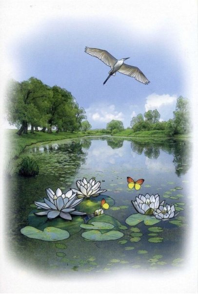 Дидактический материал лето