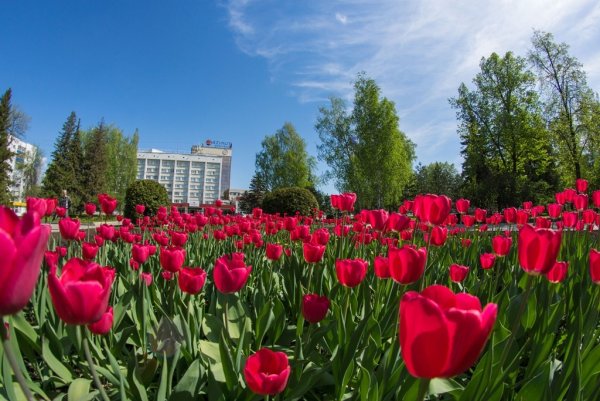 Уфа весной