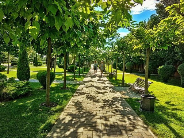 Парк Краснодар летом