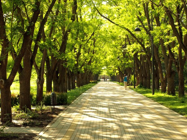 Парк Ботанический сад Краснодар