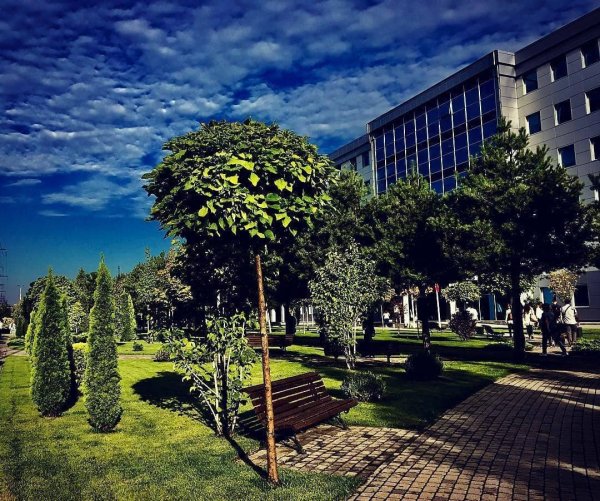 Аллея на ул Солнечная Краснодар