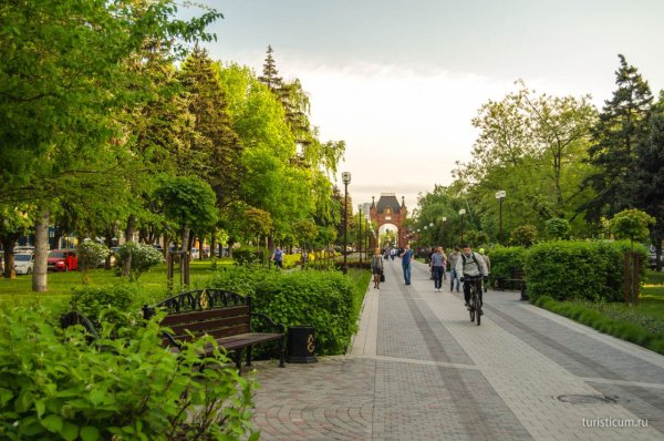 Платановая аллея Краснодар