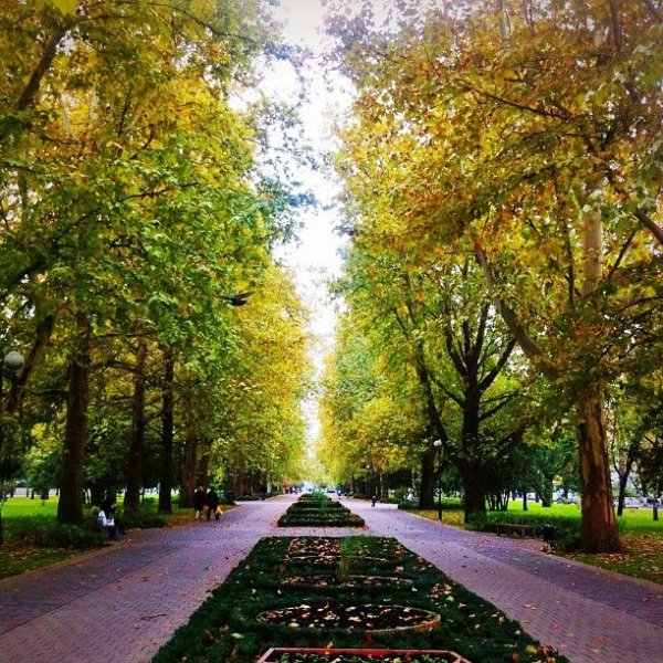 Краснодар улица красная