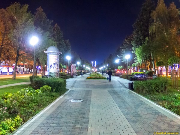 Аллея на красной улице Краснодар