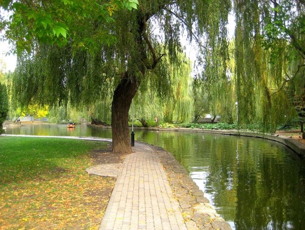 Парк городской сад Краснодар