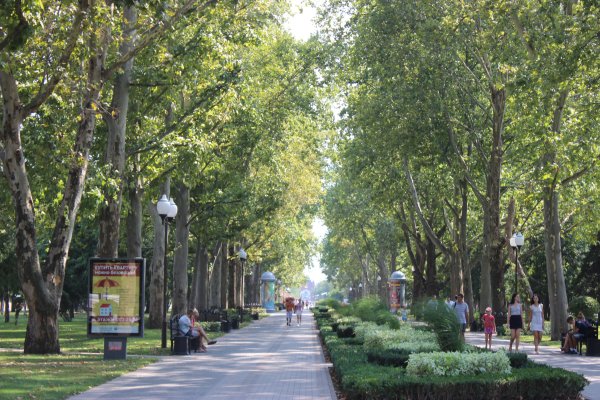 Краснодар парк на улице красной