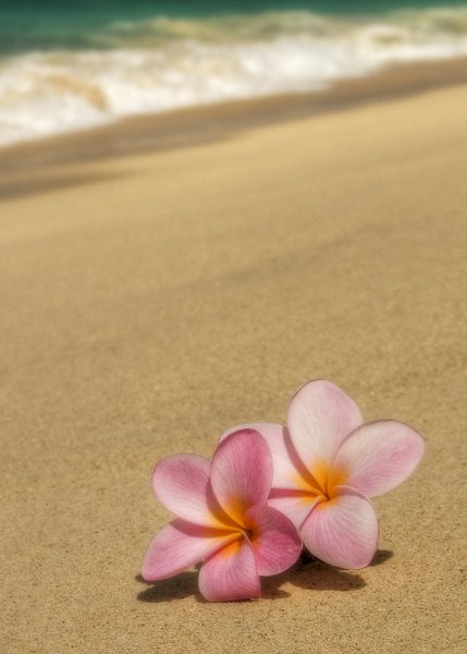 Summer надпись