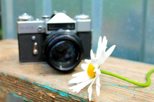 Фотографии природы с фотоаппаратом