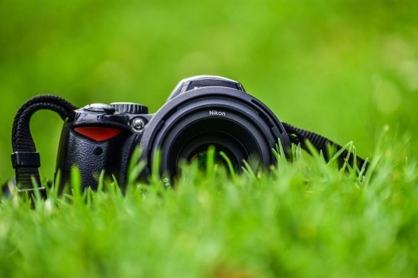 Выставка фоторабот лето в объективе