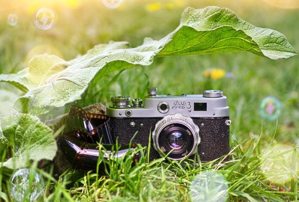 Открытка лучшему фотографу