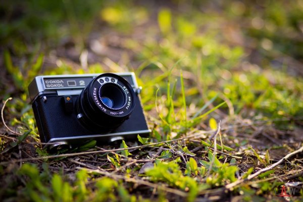 Прогулка с фотоаппаратом