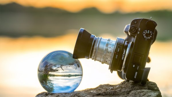 Фотокамера в траве