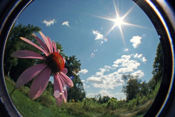 Девушка с фотоаппаратом улыбается