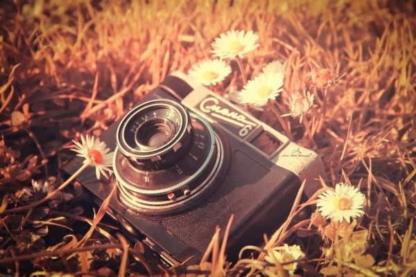 Фотоаппарат на красивом фоне