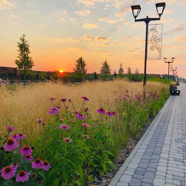 Белгород лето