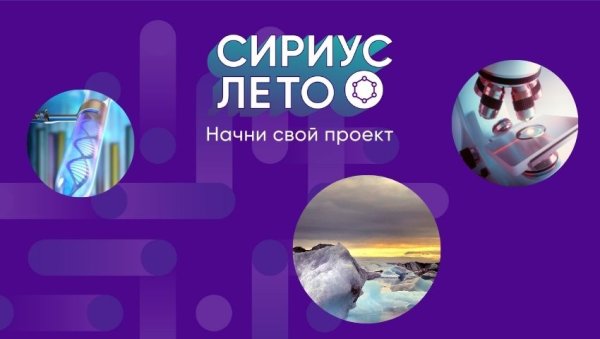 Сириус лето
