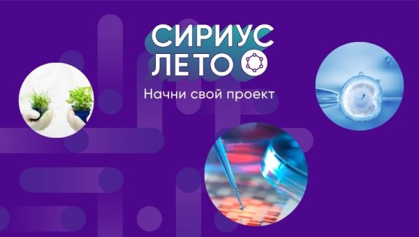 Сириус лето Начни свой проект