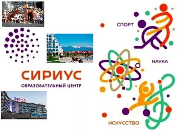 Сириус Сочи логотип PNG