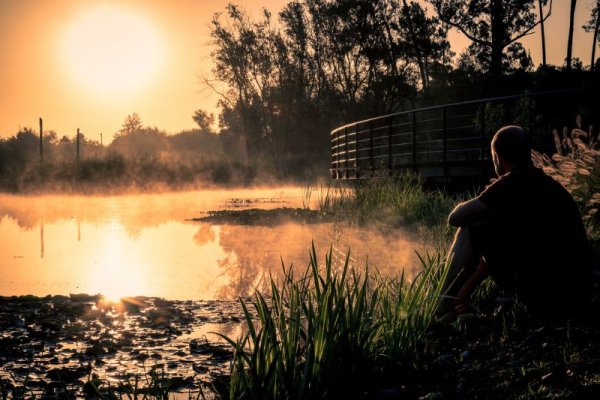 Сомнения природа
