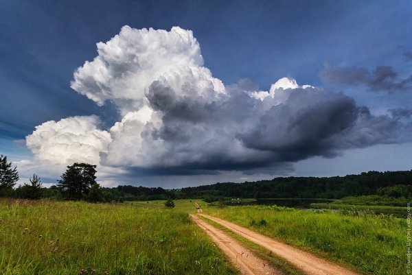 Жить и радоваться