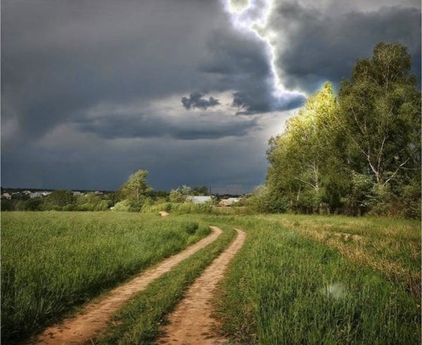 Ромашки и небо