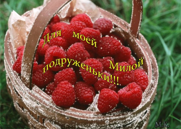 Ромашка настроения