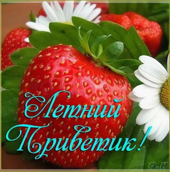 Доброго летнего дня