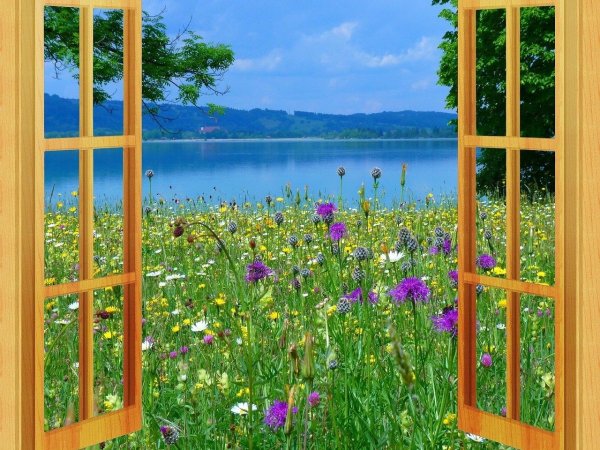 Вид из окна намприроду