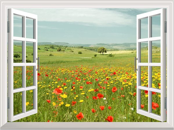 Окно в лето