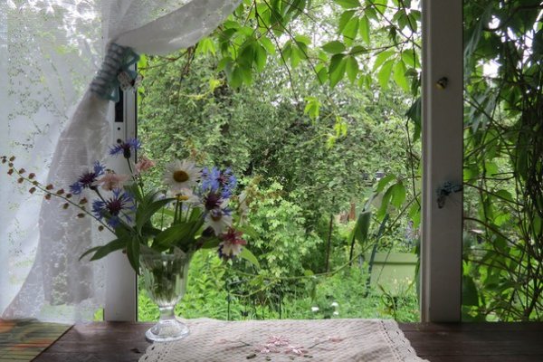 Вид из окна на даче