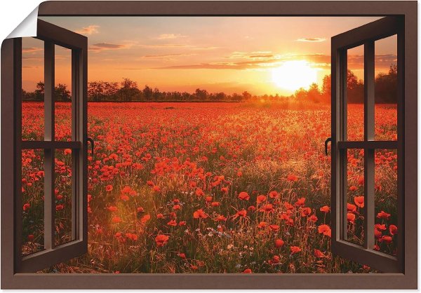 Окно в поле