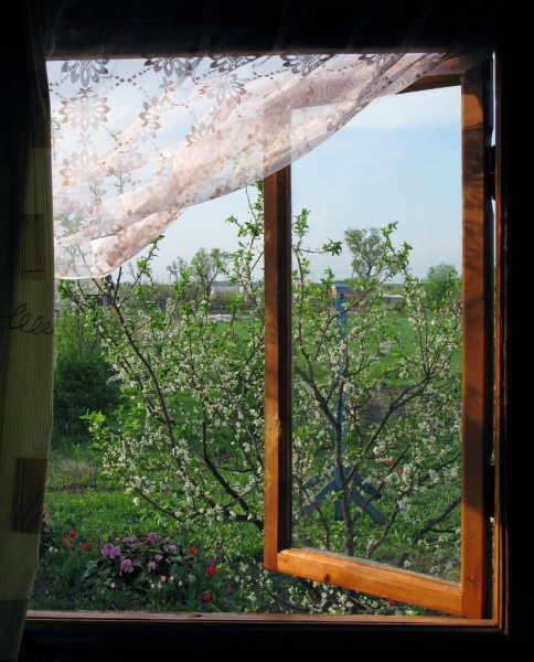 Распахнутое окно