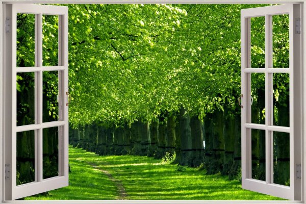 Солнце на подоконнике