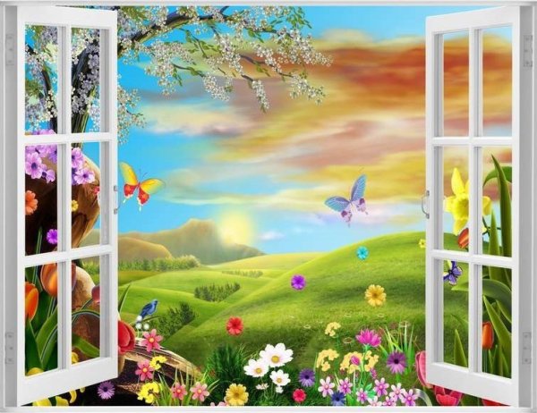 Окно в природу