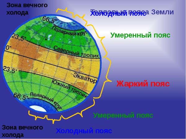 Лето я отдыхать не успеваю