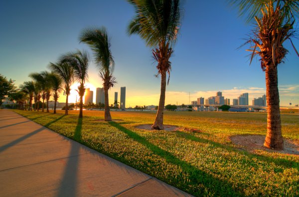 Улицы города Майами Florida