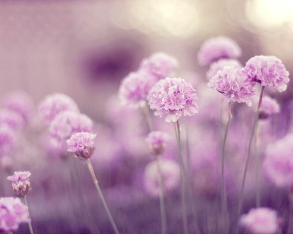 Девушка без лица