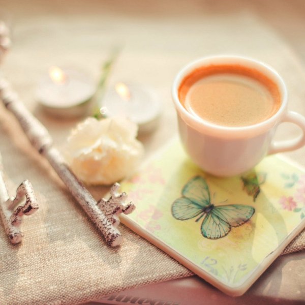 Лето Вдохновение