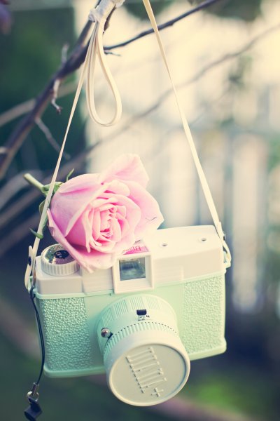 Пастельные цветы