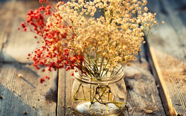 Ванильные картиночки