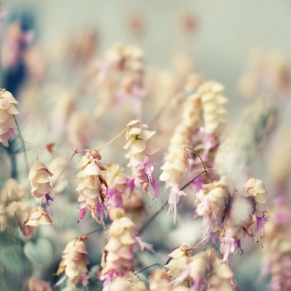 С днем рождения море