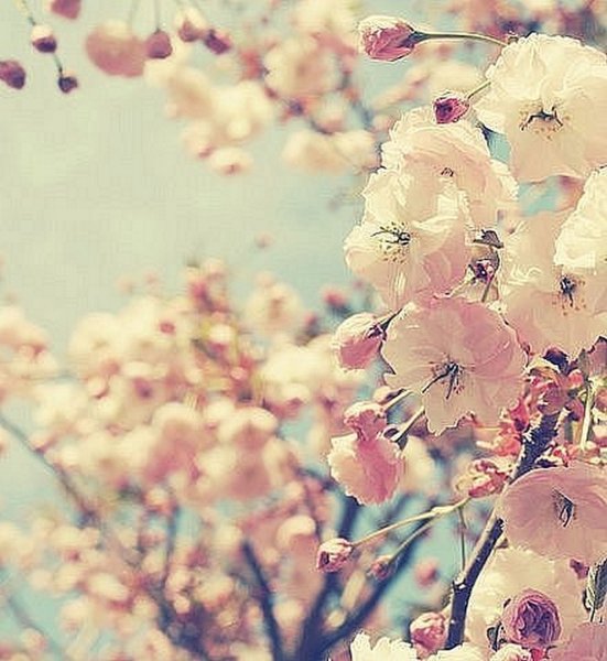 Жизненные картинки ванильная